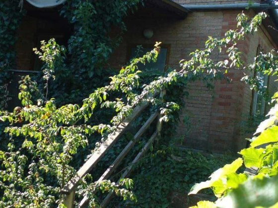 Продажа будинку у дачному товарицтвi "Дружба", село Лозiвок Лозивок