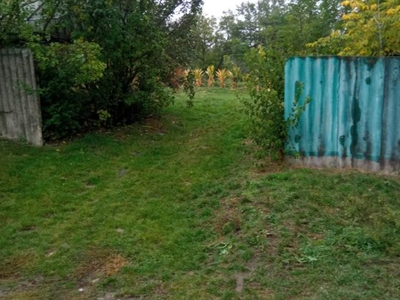 Продам будинок  з землею Шпола