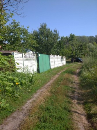 Продается часный дом.на берегу реки Сейм под жилой дом дачу г.Батурин. - фото 1