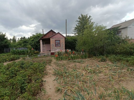 Дача (р-н с. Киенка) Киенка