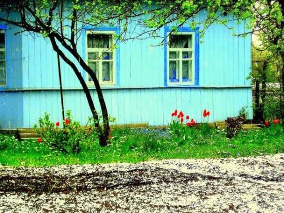 Будинок з ділянкою (біля залізничного вокзалу) Носовка