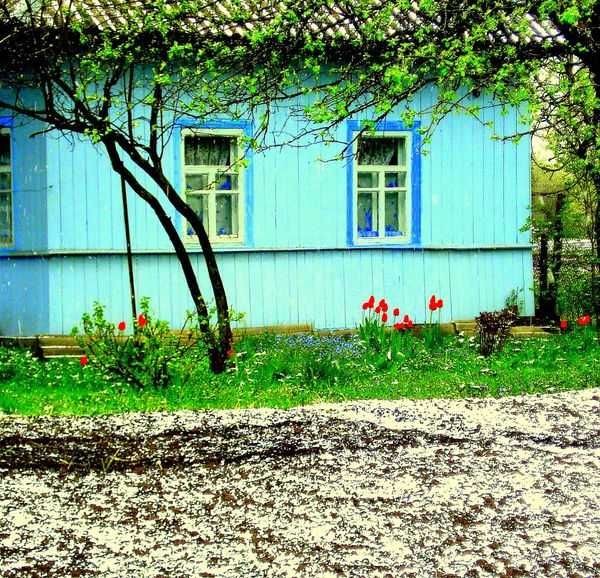 Будинок з ділянкою (біля залізничного вокзалу) - фото 1