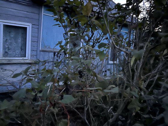 Продам будинок Чернігівська обл. м.Ічня вул. Воскресінська Ичня