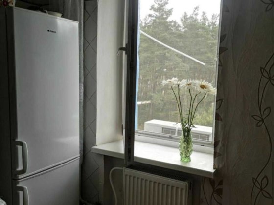 3 кімнатна квартира біля лісу оренда Власівка з 12.11 Власівка