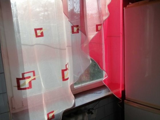 Здам 2х кімнатну, Кам'янське, чудове місцезнаходження. 5500 грн Кам'янське