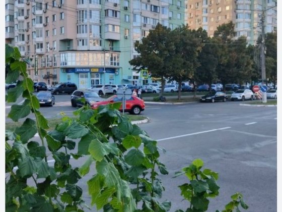 Оренда 2 комн. квартири від власника по пр. Шевченко, 2г, центр міста Вышгород