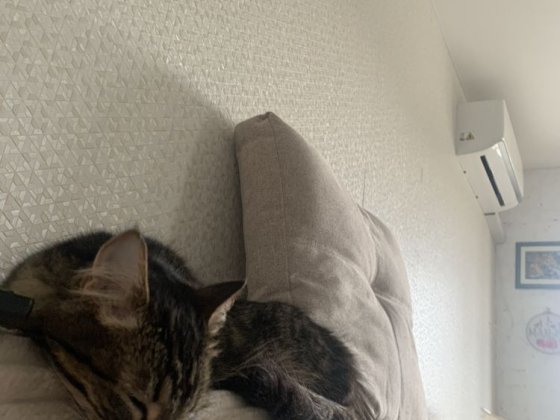 ТЕРМІНОВО! Оренда 2-х кімнатної квартири м. Долина Долина