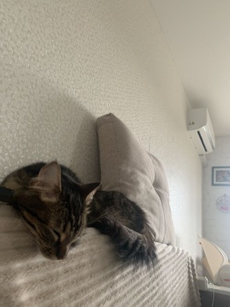 ТЕРМІНОВО! Оренда 2-х кімнатної квартири м. Долина - фото 1