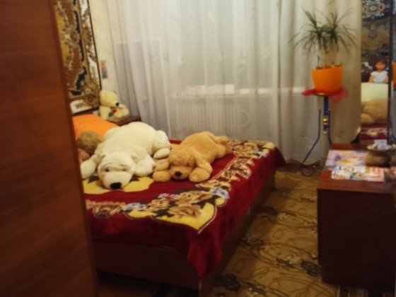 Сдам 3-х ком.кв. с жильцом Краматорськ