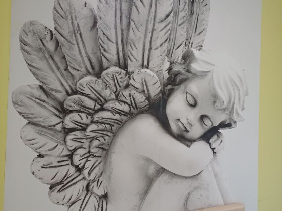 Здається 1кімнатна квартира в центрі Мукачево