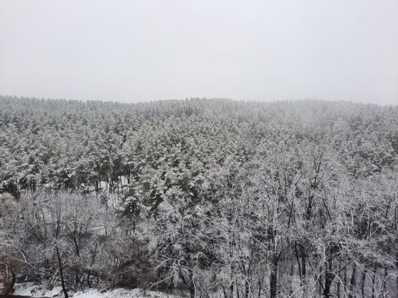 Оренда 3-кім. квартири Обухів