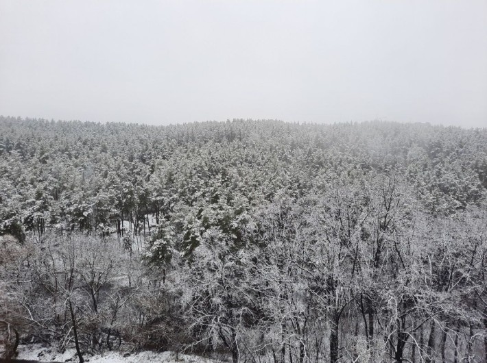 Оренда 3-кім. квартири - фото 1