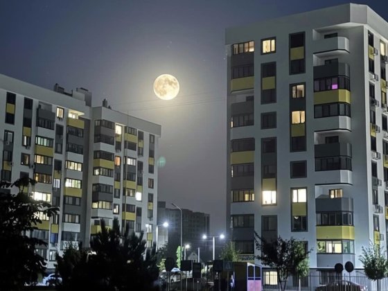 Здам 1к квартиру з 1.11,  ЖК Банківський Борисполь