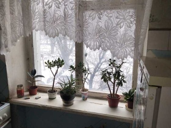 Здам в оренду двокімнатну Торгмаш, Володимира Великого, власник Бровары