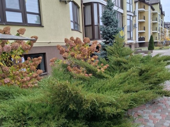 Оренда двохкімнатної квартири по вул.Фельдмана, в Броварах Бровары