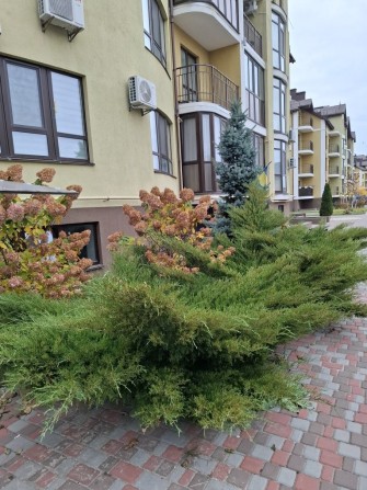 Оренда двохкімнатної квартири по вул.Фельдмана, в Броварах - фото 1