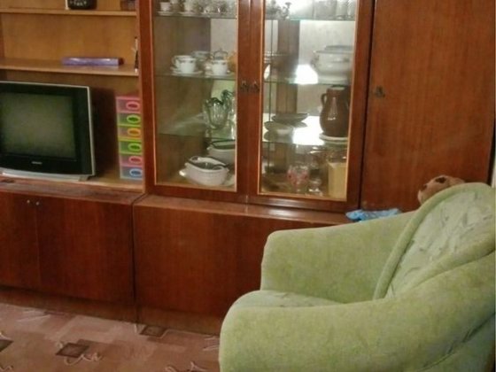 Здам квартиру Полтава, Браілки Полтава