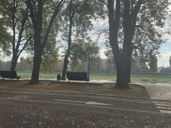 Здається 1 кімнатна мансарда Ужгород