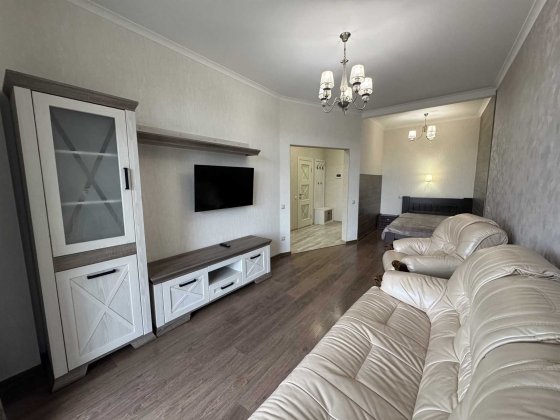 Оренда 1 кімн. квартири в ЖК Дрім Сіті, вул. Гойди, центр міста. Ужгород