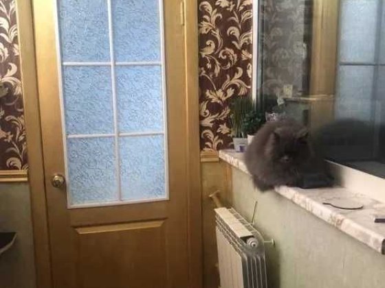 квартира, оренда, будинок, частина будинку Винница