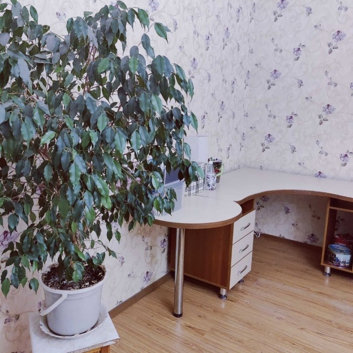 Оренда 2-кімнатної квартири на Митниці! Ідеальне розташування! - фото 1