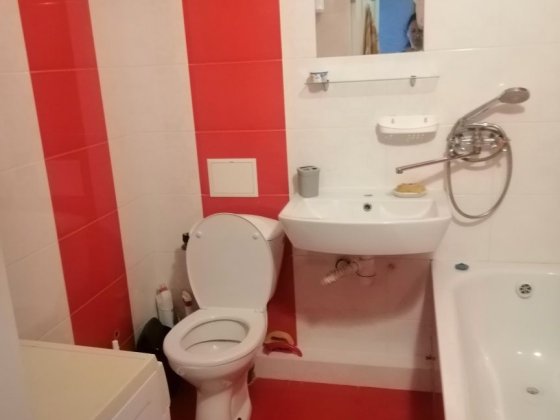 Сдам однокомнатную квартиру на длительный срок Житомир