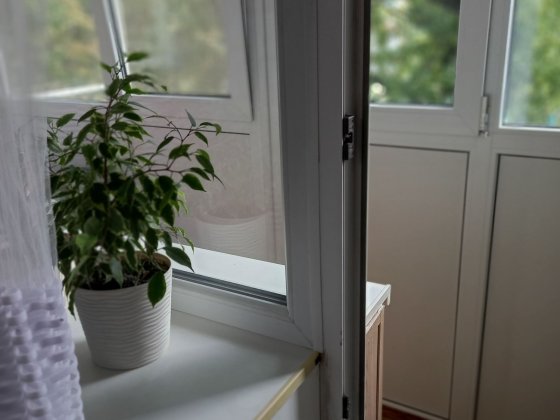 Здам 1 квартиру в центрі Житомир