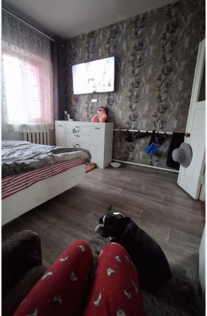 Здається 2-х кім квартира на Новомиколаївці - фото 1