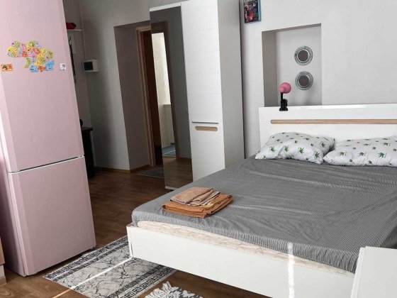 СДАМ 1 Комнатную квартиру ЦЕНТР МОЖНО на 1 МЕСЯЦ есть ВИДЕО