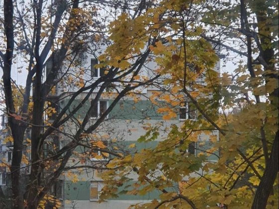 Оренда 1 кім. квартири по вул. Енергетична (Новий Львів) Львів