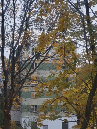 Оренда 1 кім. квартири по вул. Енергетична (Новий Львів) - фото 1