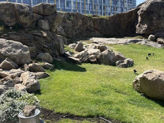 Сдам 4х-комнатную квартиру ЖК Фестивальный Новострой Днепр