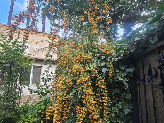 Сдам 2 комнатную со своим двором на Лазарева Одесса