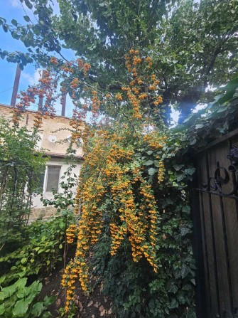 Сдам 2 комнатную со своим двором на Лазарева - фото 1