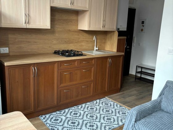 Оренда 1 кімн  квартири в центрі Львова Львів