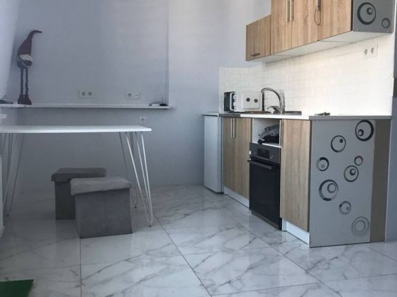 Квартира-студія з новим ремонтом Петропавловская Борщаговка