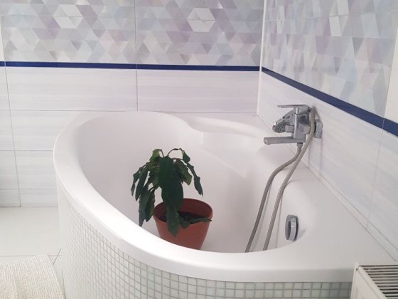 Здам 1 кімнатну квартиру . Сторожинець