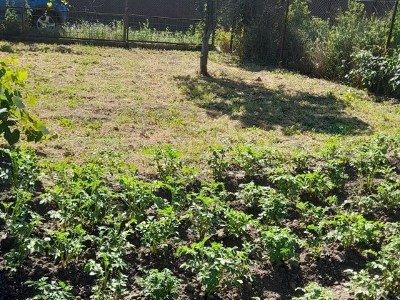 Продається дача в м.Івано-Франків.для віддиху та землеробства,13500 Ивано-Франковск