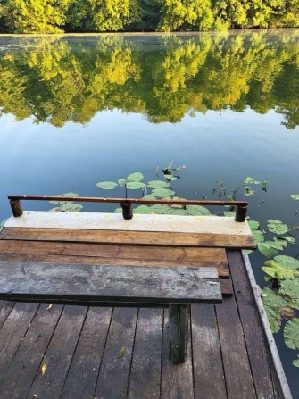 Продаж дачі в м. Біла церква , гайок - фото 1