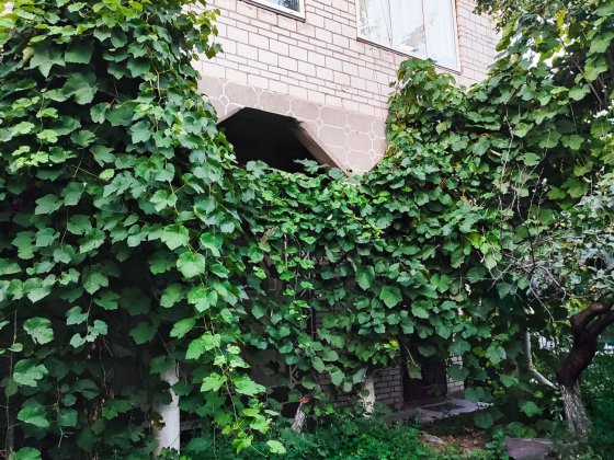 Продаж частини будинку на Заріччі м.Біла Церква Белая Церковь