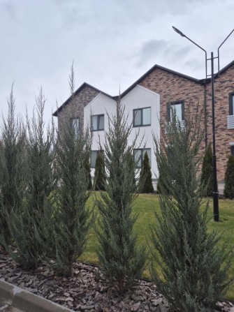 Продам таунхаус на Заріччі - фото 1