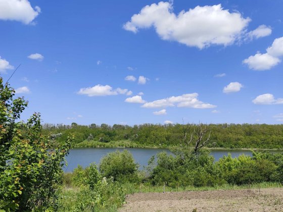 Продаж Дача Черкас Белая Церковь