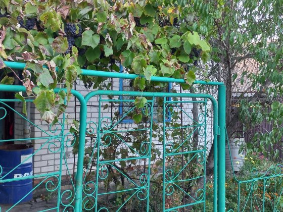 Дача в кооперативі Мрія (за межами с. Ламане) 18 соток Кременчуг