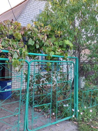 Дача в кооперативі Мрія (за межами с. Ламане) 18 соток - фото 1