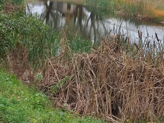 Продається будинок в м. Бориспіль. Бориспіль