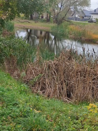 Продається будинок в м. Бориспіль. - фото 1