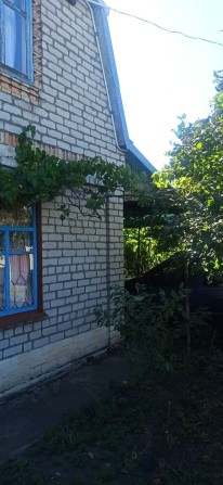 Продам дачні ділянки - фото 1