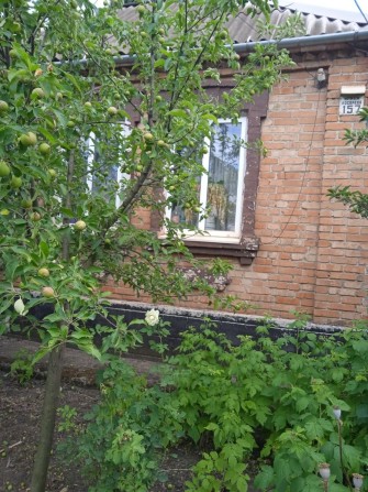 Продам будинок по вул. Дубки, Саксаганський район - фото 1