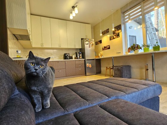 Дуплекс з ремонтом в лісовій частині міста. Меблі. Техніка Ірпінь