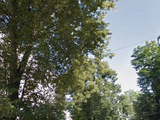 Центр міста поруч з зупинкою